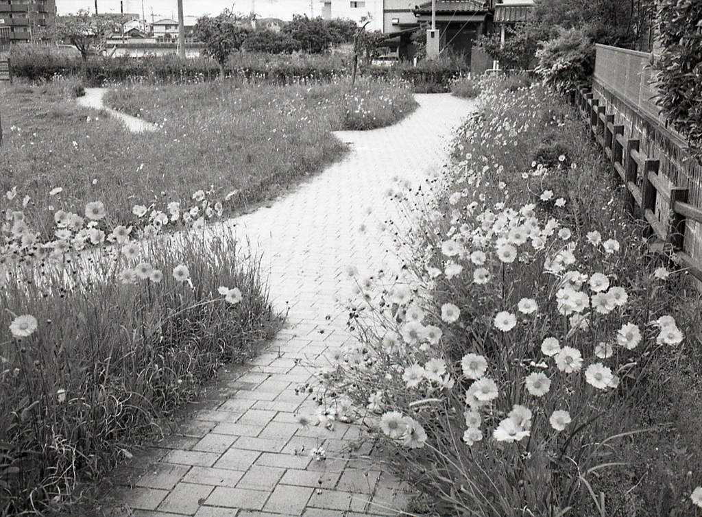 小さな花園