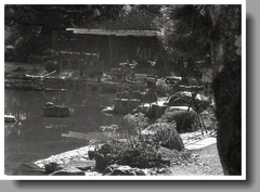 胡蝶ケ池のレンズ群