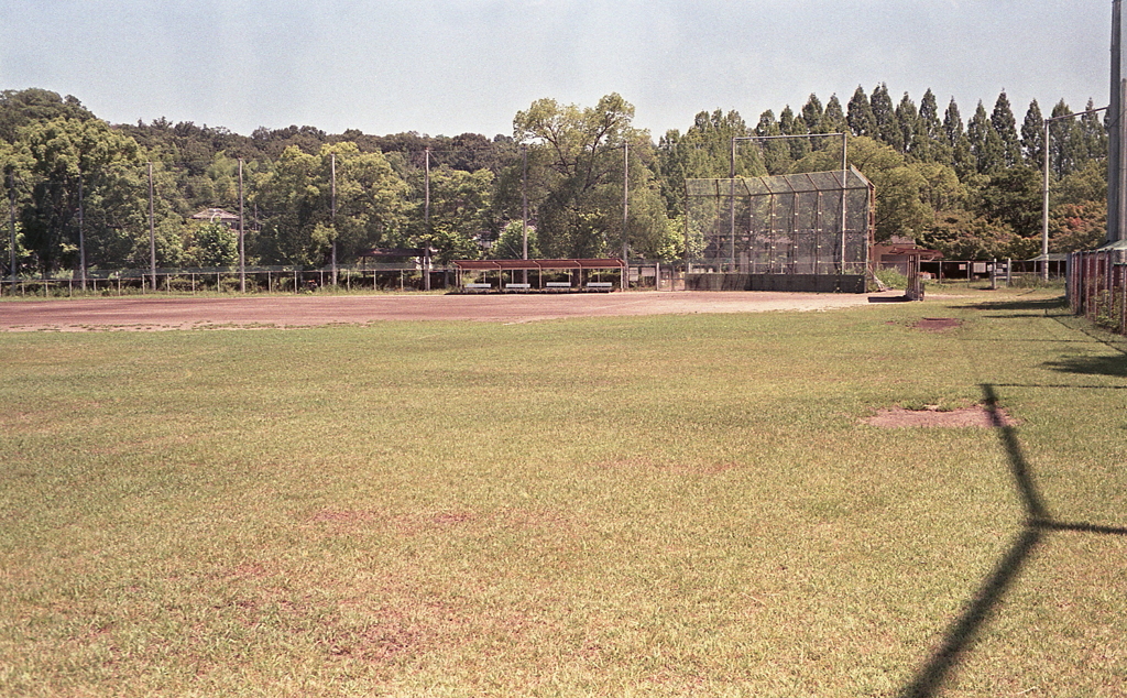 夏の球場