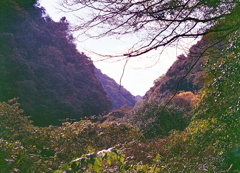 玉野川渓谷の山々