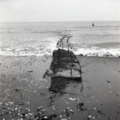 海の写真