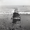 海の写真