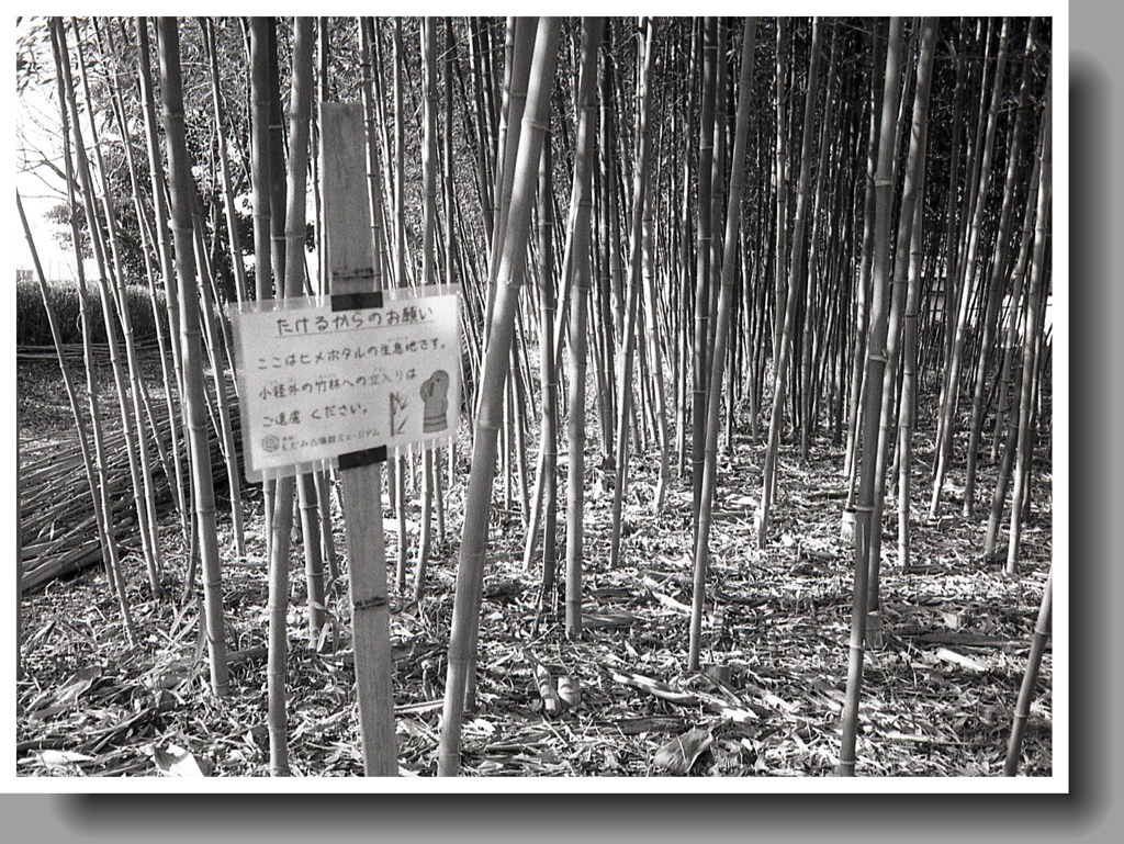 たけるのお願い