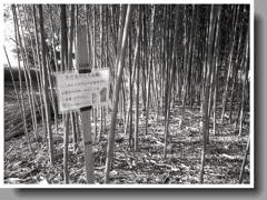 たけるのお願い