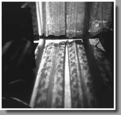 雨に引籠るレース柄の影