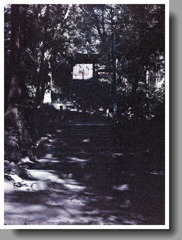 定光寺百六十五の石段