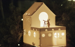 夜空の星を見るカモシカ