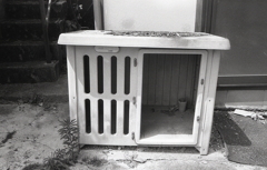 処理できない大型犬舎