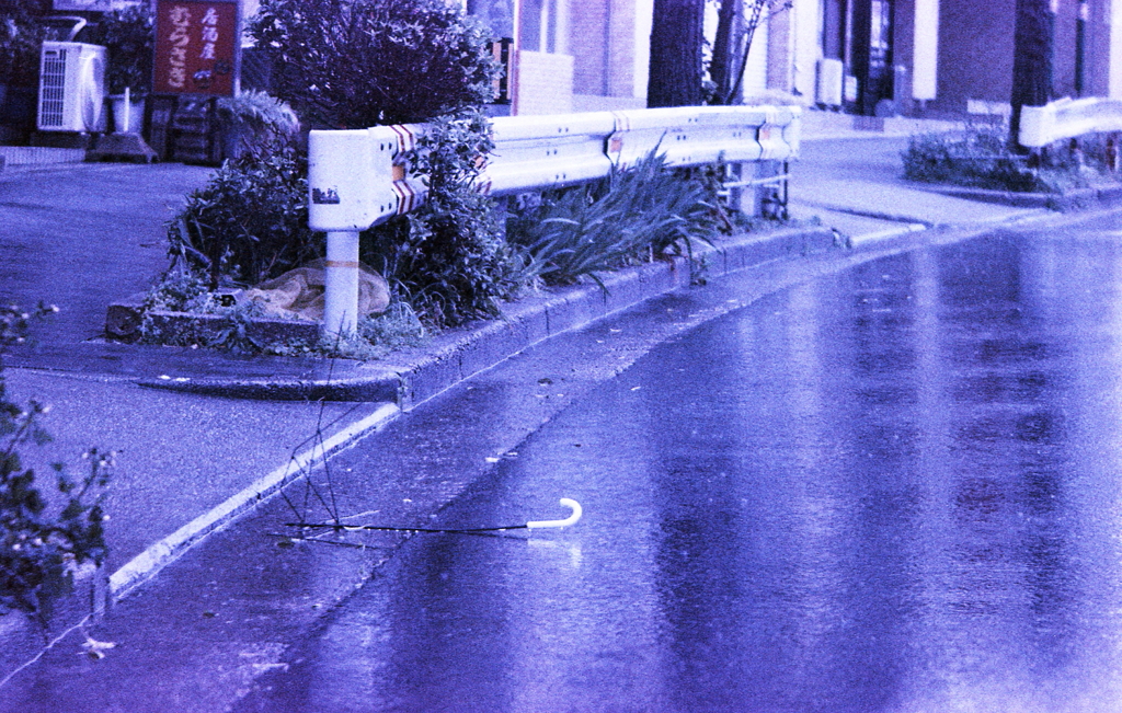 ブルーな雨の日