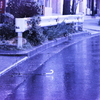 ブルーな雨の日