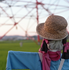 夕暮れどきの麦藁帽