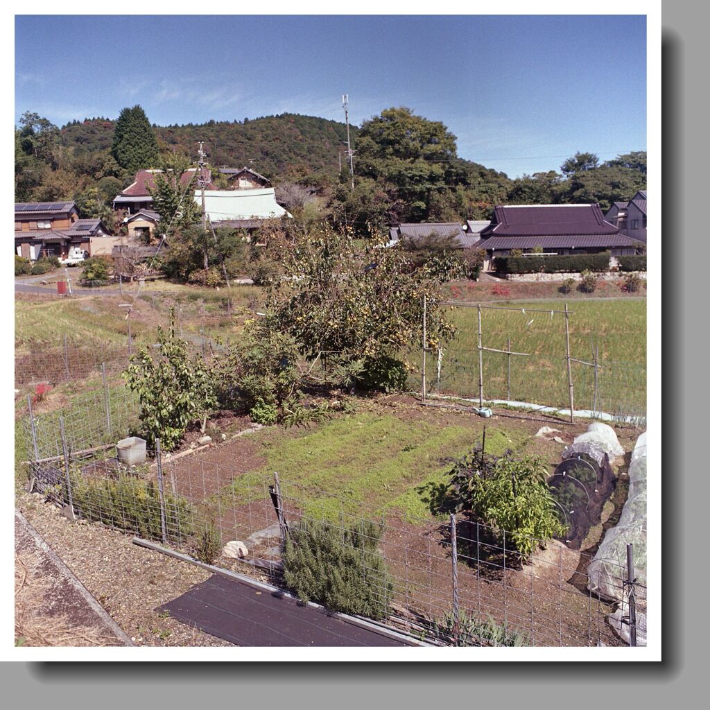 田畑の中に秋を感じた廿原の風景