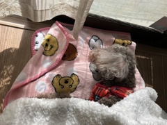 やっとひとりで寝てくれたよ。（笑