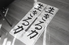生きる力