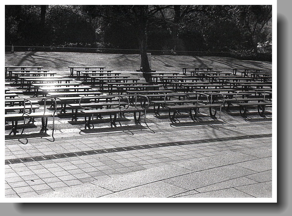 客席の五枚の写真