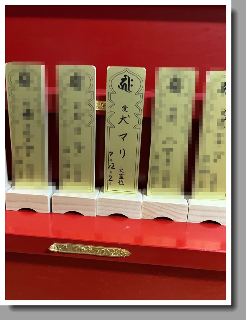 マリの四十九日