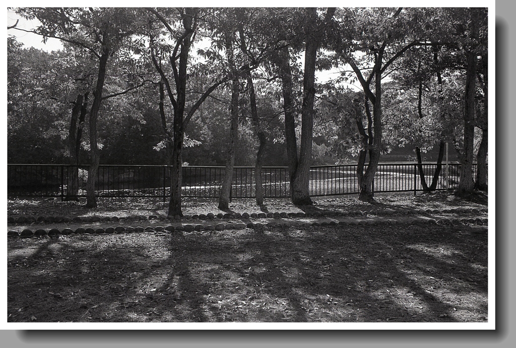 晩秋の見返り池