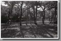 晩秋の見返り池