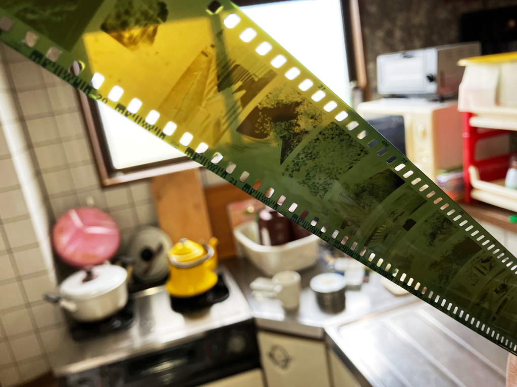 けったいな色のカラーネガフィルムです。（笑