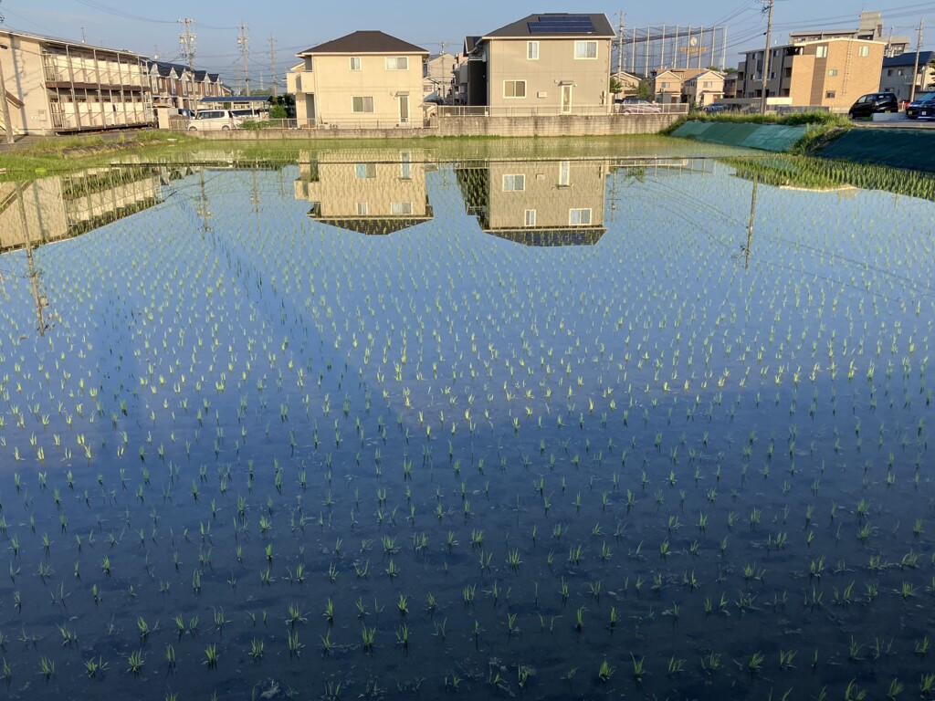 そして少し歩くとまた…（笑