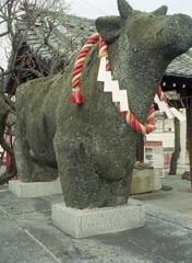 苔生す石牛