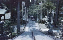 眼下の参道