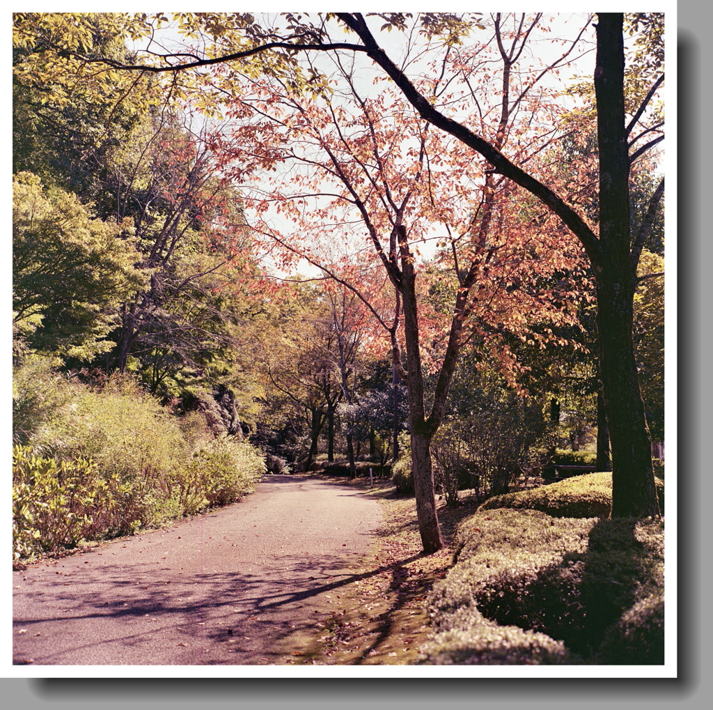 ブロニカ首に…気持ちいい！