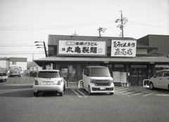 たまに丸亀、本命は長命うどん（笑