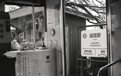 長良川鉄道 加茂野駅