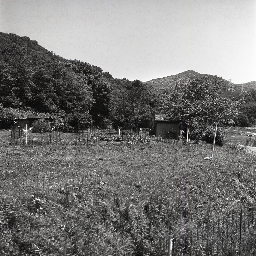 緑の匂い　～下田逸郎