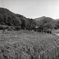 緑の匂い　～下田逸郎