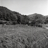 緑の匂い　～下田逸郎