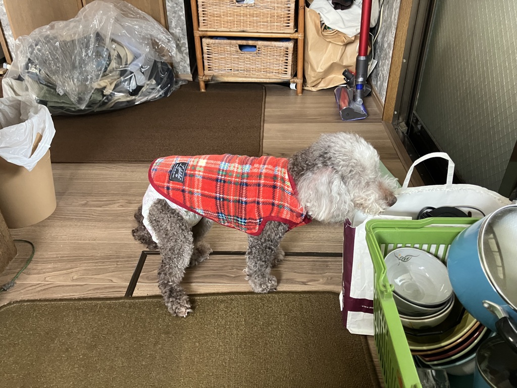 そしてまた静止状態に…