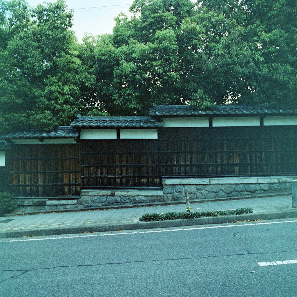 母と乳母車の妹と登ったゆるやかな坂の追憶