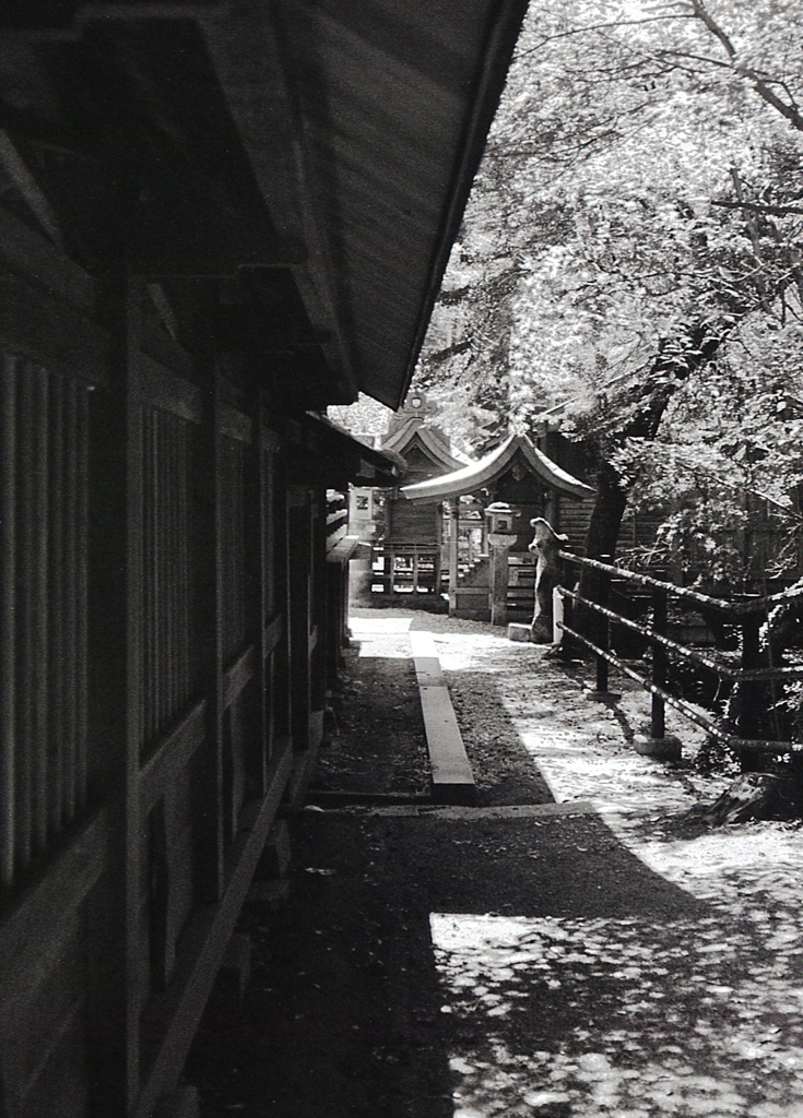 塀に沿って歩く　～OLYMPUS PEN FT版