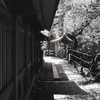 塀に沿って歩く　～OLYMPUS PEN FT版