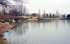 Rainy ParkⅡ