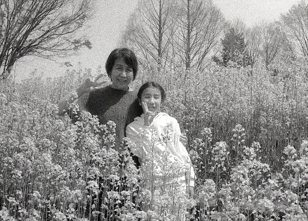菜の花の中で