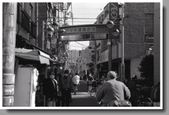 続・亀戸散策　～2022年撮影の記憶