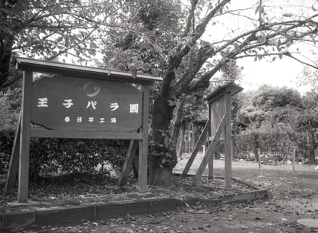 王子バラ園