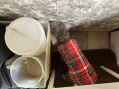 ずっとこのまま…