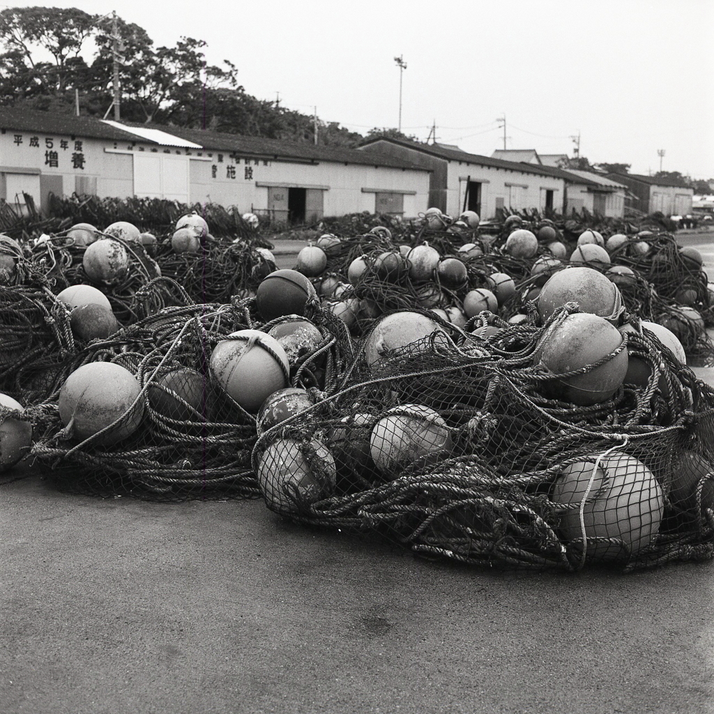 浮玉の漁網群