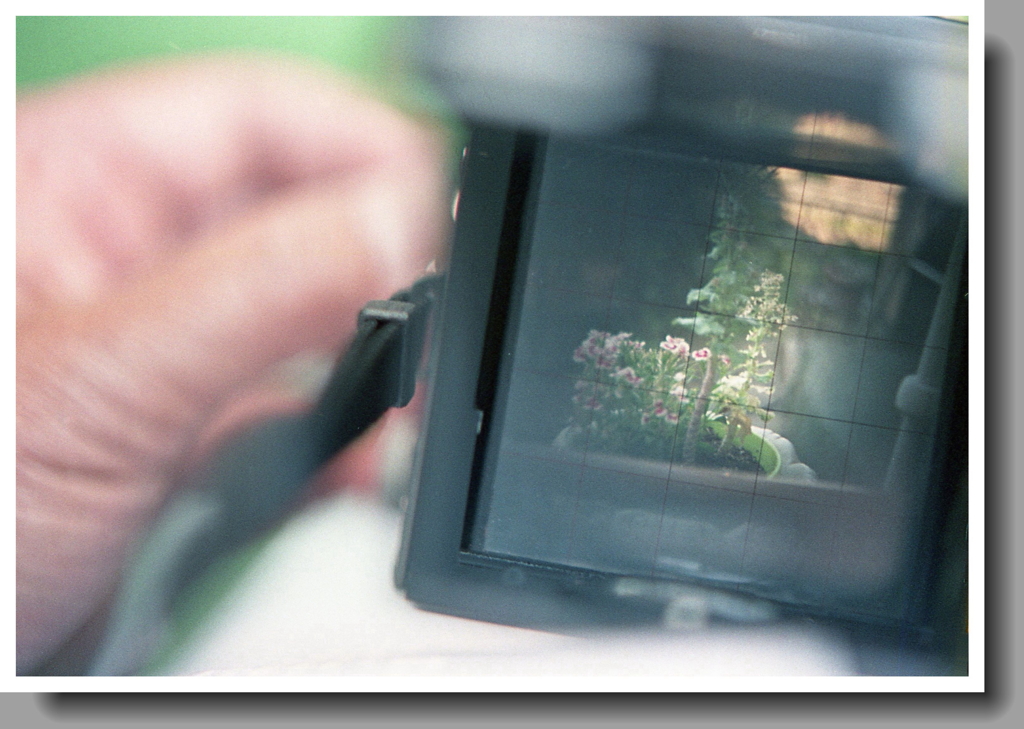 そっとのぞいてごらん…