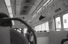 岐阜・大垣行きの車内風景