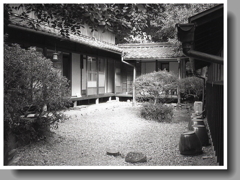 中庭の風景