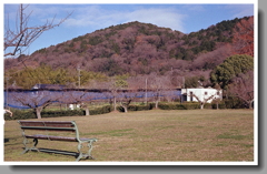 なぞなぞです、名古屋市で一番高い山は？