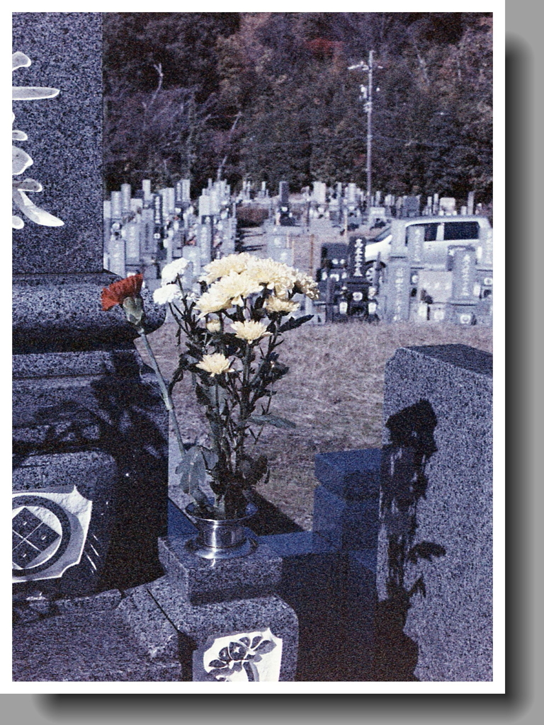 墓参の供花