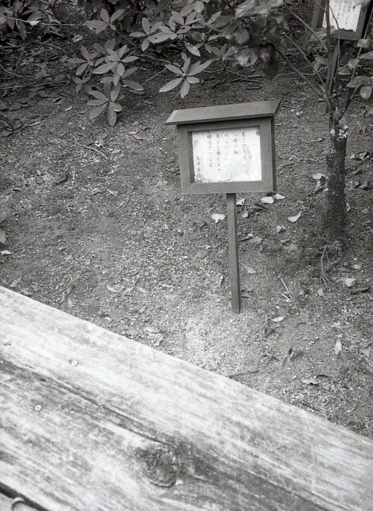 「あしひきの 山のもみちに しづくあひて」大伴家持