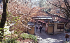 坂を下って初詣