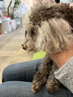 今から診察ですが…